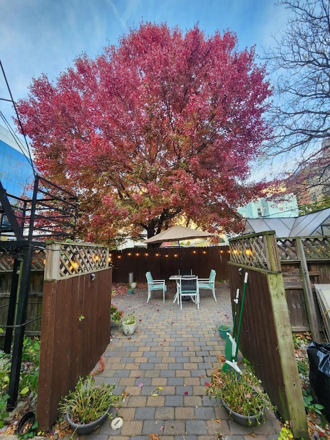 Magnolia Stay Near New York City Jersey City Exterior photo